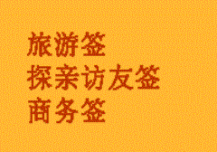 法国探亲签证